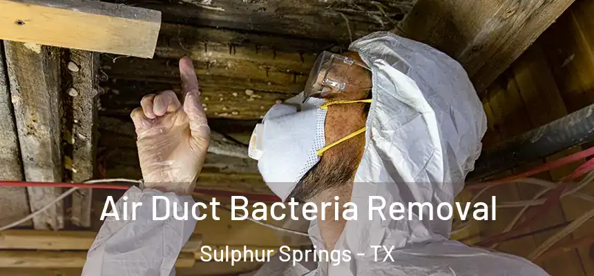  Air Duct Bacteria Removal Sulphur Springs - TX