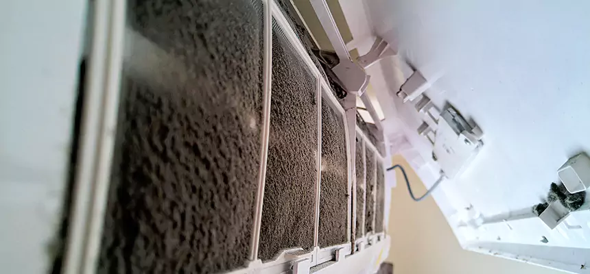 Preventive Air Duct Bacteria Removal in Sulphur Springs