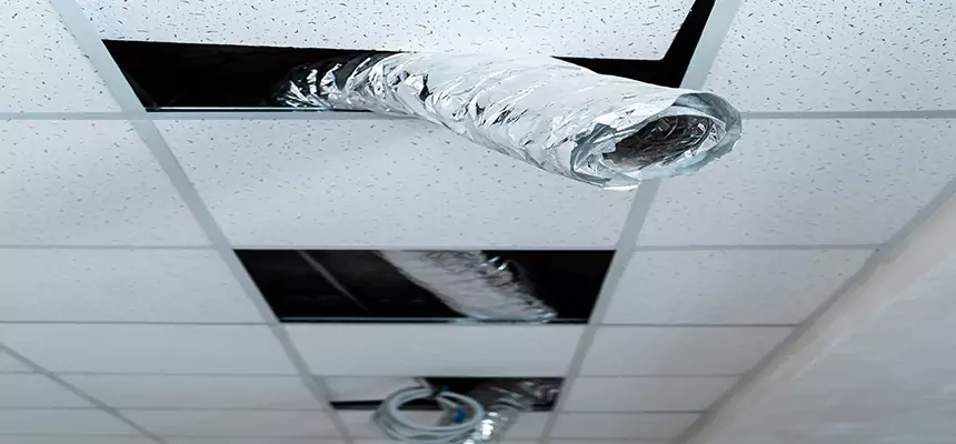 Our Air Duct Pet Hair Removal Services in Sulphur Springs, TX