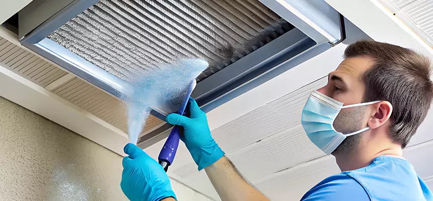 Proactive Dryer Vent & Auxiliary Duct Pollen Cleanup in Sulphur Springs, TX