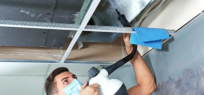 Our Air Duct Rodent Removal Services in Sulphur Springs, TX