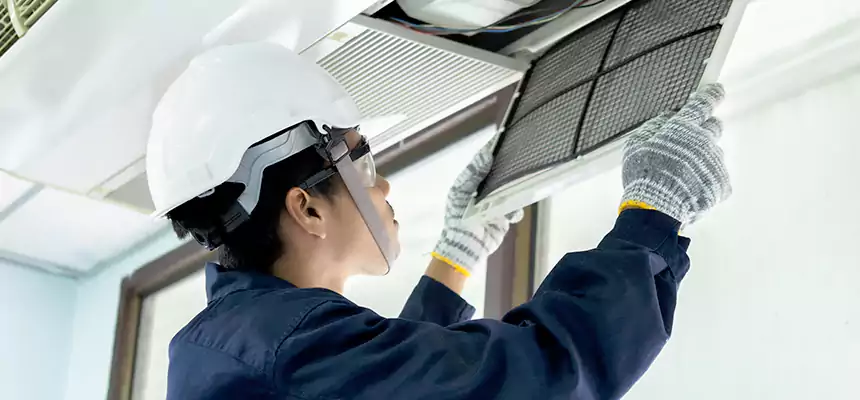 Our Mold & Mildew Removal from Air Ducts Services in Sulphur Springs, TX