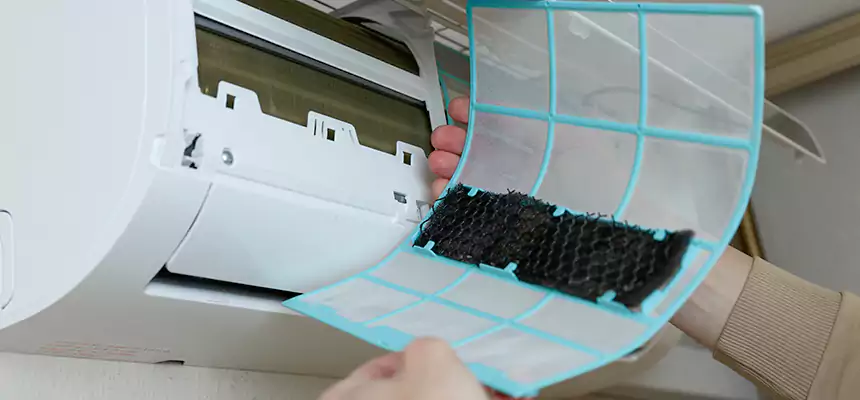 Gentle Ductwork Odor-Control Pet Dander Duct Cleaning in Sulphur Springs, TX