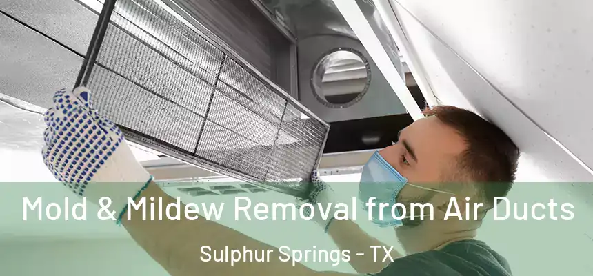  Mold & Mildew Removal from Air Ducts Sulphur Springs - TX