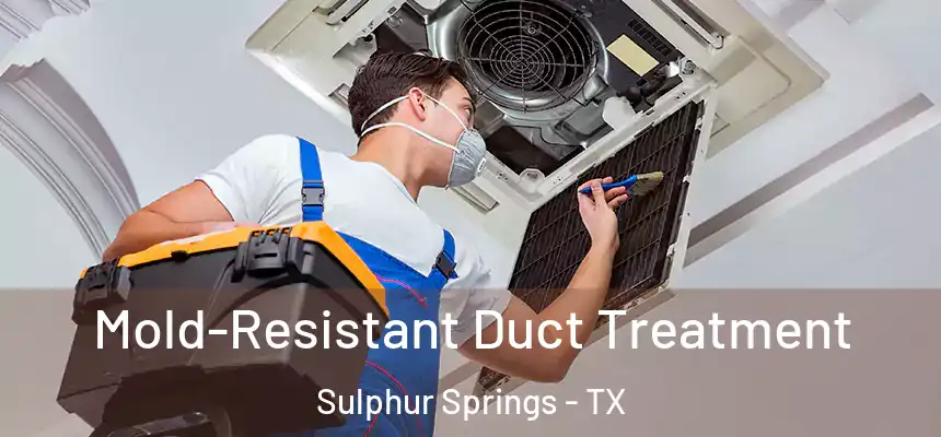  Mold-Resistant Duct Treatment Sulphur Springs - TX