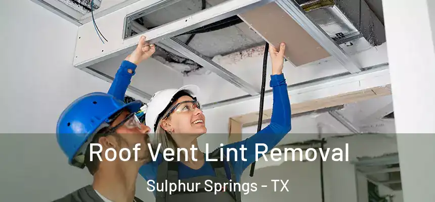  Roof Vent Lint Removal Sulphur Springs - TX