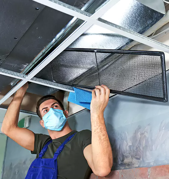 About Air Duct Bacteria Removal in Sulphur Springs