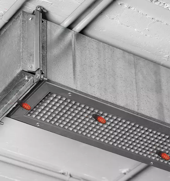 About Air Duct Cockroach Removal in Sulphur Springs, TX