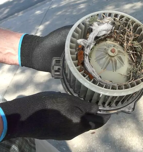 About Air Duct Rat Removal in Sulphur Springs, TX