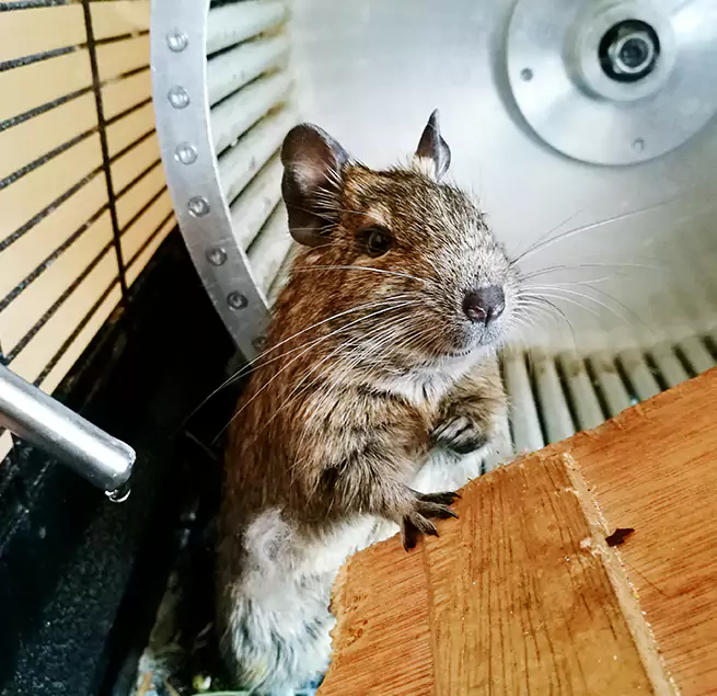 Why Homeowners & Businesses Trust Us Sulphur Springs, TX?