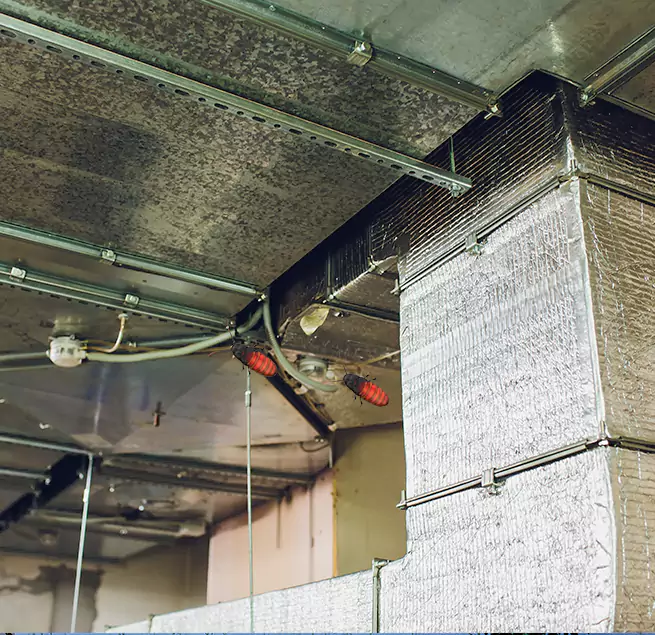 Why Homeowners & Businesses Trust Us Sulphur Springs, TX?