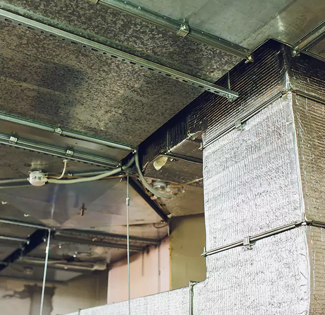 Why Homeowners & Businesses Trust Us in Sulphur Springs, TX?